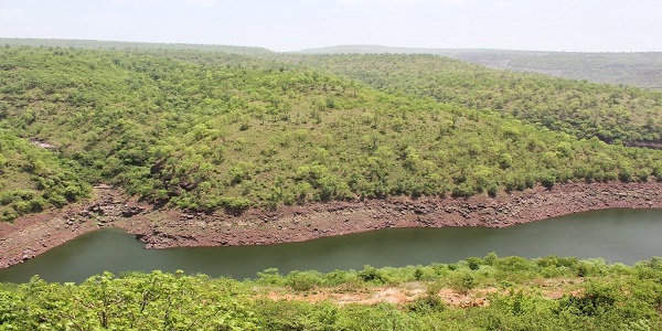 Nallamala Hills